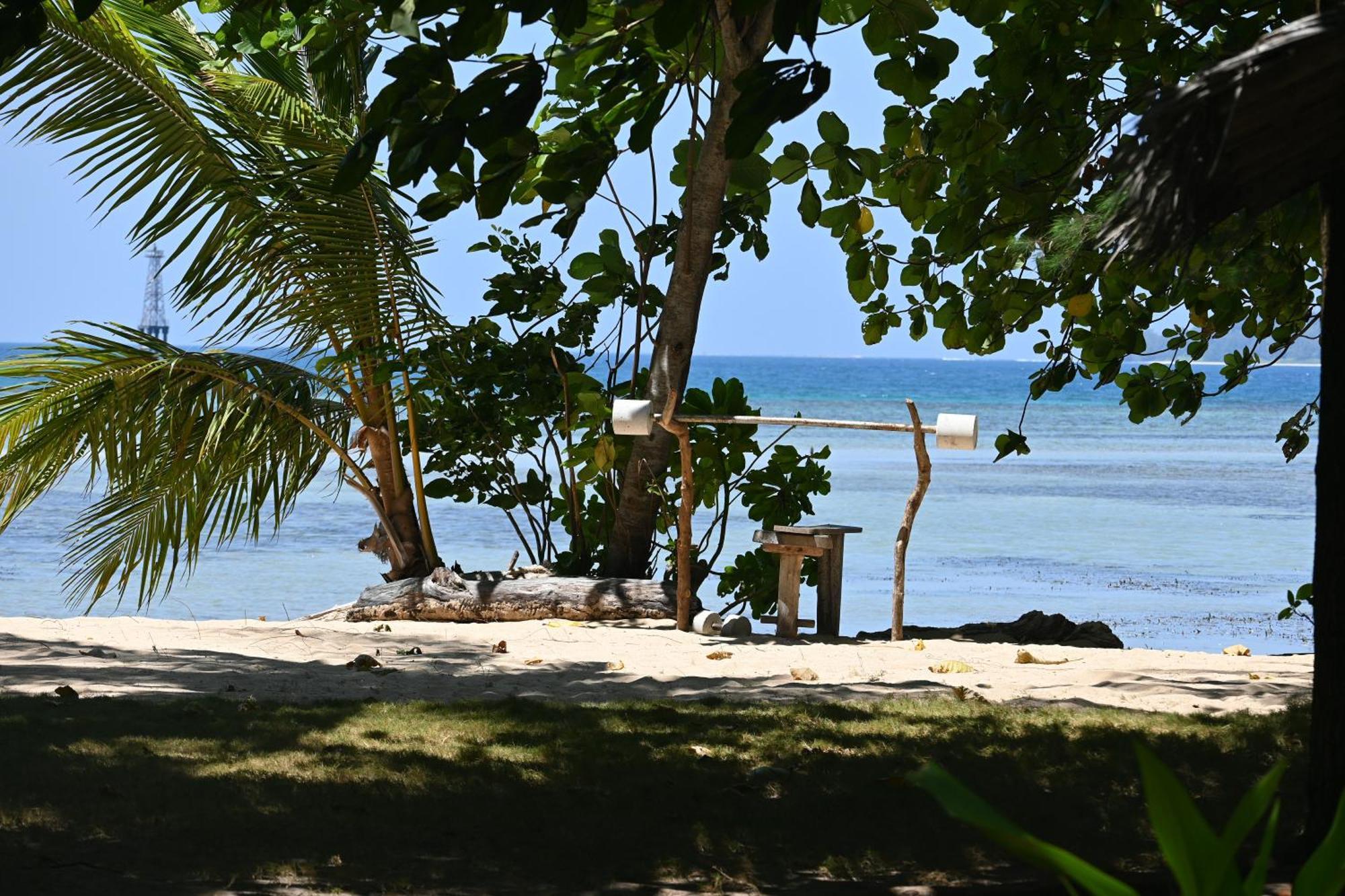Bunga Jabe * Karimunjawa
